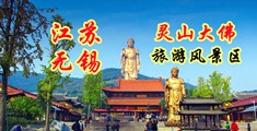 日视频操大屄江苏无锡灵山大佛旅游风景区
